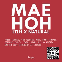 เมล็ดกาแฟ แม่เหาะ LTLH x Dry 100g