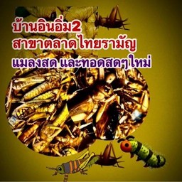 บ้านอินอิ่ม2 ตลาดไทยรามัญ