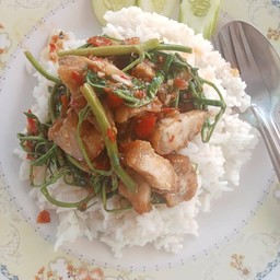 ผัดกระเฉด