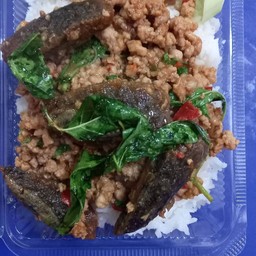 ข้าวกะเพราหมูสับ ไข่เยี่ยวม้า