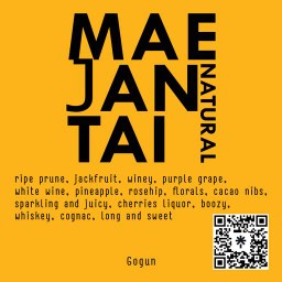 Rank8 แม่จันใต้ Natural Process 100g