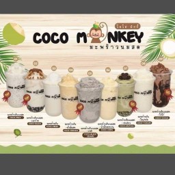Coco Monkey (โคโค่ มังกี้) J Park