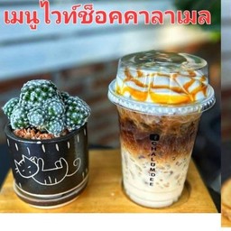 ไวท์ซ็อคคาราเมล