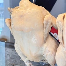 ไก่ต้ม (ตัว)