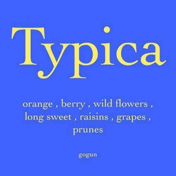 Typica