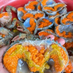 ปูไข่ดอง & ปูม้าสด สถานีปูทะเล