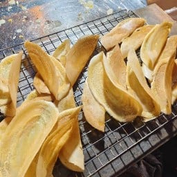 โตเกียวประสาทแดก โตเกียวประสาทแดกสาขา 1