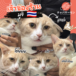 เจ้าของร้าน