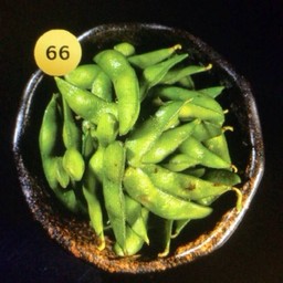 66.ถั่วแระญี่ปุ่น