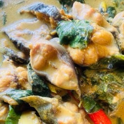 แกงปลาดุกใบยี่หร่า