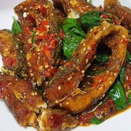 ข้าวปลานิลทอด หั่นชิ้น พริกแกง