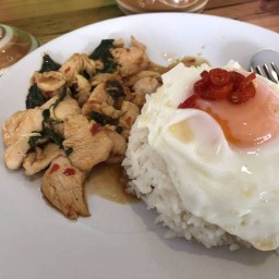 ข้าวกระเพรา กาแฟสด อาหารคลีน บ้านเลขที่7 1