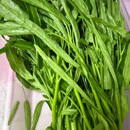 ผักบุ้ง