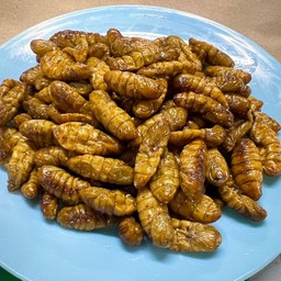ดักแด้