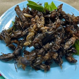 กระชอน