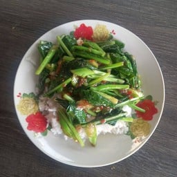 เจ๊ส้มอาหารตามสั่ง