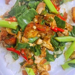ครัวลุงหน่อง (อาหารตามสั่ง อาหารป่า ส้มตำ)