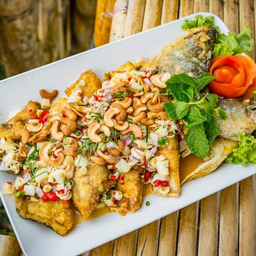 ปลากระพงลุยสวน