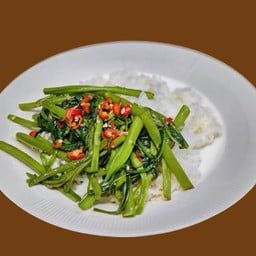 J5 ผัดผักบุ้ง ราดข้าว Stir-Fried Morning Glory