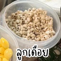 ลูกเดือย