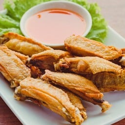 ปีกไก่เบรกแตก