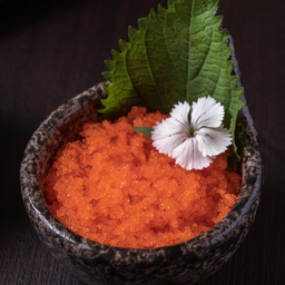 B24 TOBIKO-โทบิโกะ