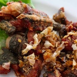 ครัวพีระดา กาดฝรั่ง - หางดง