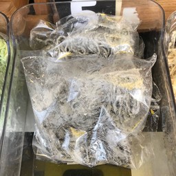 ชาโคลสด