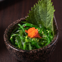B25 WAKAME-วากาเมะ