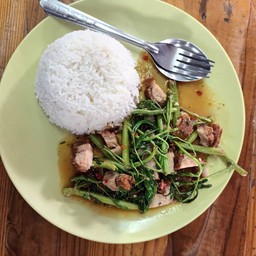 ข้าวกระเฉดหมูกรอบ