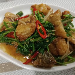 เนื้อปลากะพงผัดขึ้นฉ่าย