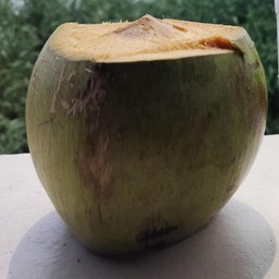 น้ำมะพร้าว ( ลูก )