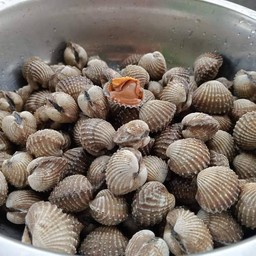หอยแครงเลือด แบบลวก ครึ่งกิโล