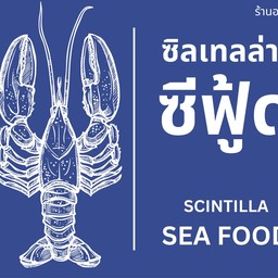 WINKIN X SCINTILLA