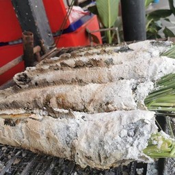 ปลาช่อนเผาเกลือ