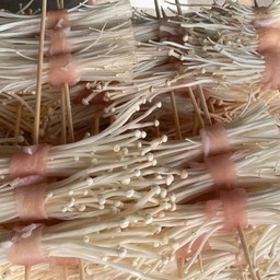 เห็ดเข็มทอง