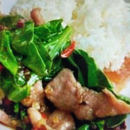 ข้าวคะน้าหมูน้ำมันหอย