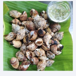 หอยหวานย่าง1kg