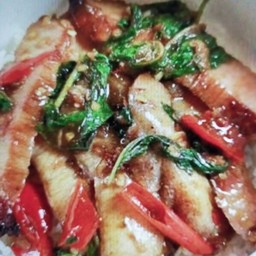 ข้าวกระเพราคอหมูย่าง