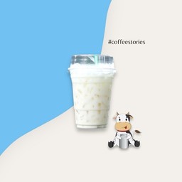 Iced Fresh Milk (นมสดเย็น)