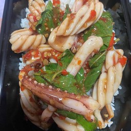 ผัดกระเพราปลาหมึกราดข้าว