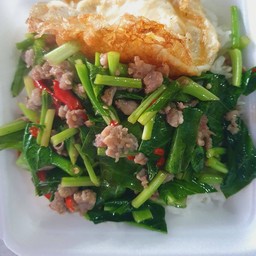 ข้าวผัดผักคะน้าหมูสับ+ไข่ดาว (10กล่อง)