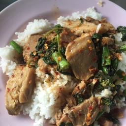 กระเพราเนื้อเปื่อยราดข้าว