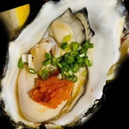 หอยนางรมสด