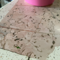 ร้านไก่ย่างวิเชียรขั้นเทพสาขา1 สาขา1