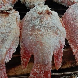 ปลาทัมทิบ