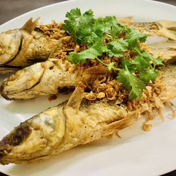 ปลากระบอกทอดราดน้ำปลา/ราดกระเทียม