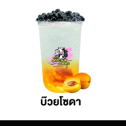 บ๊วยโซดา