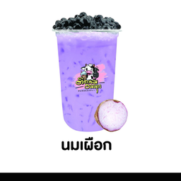 นมเผือก
