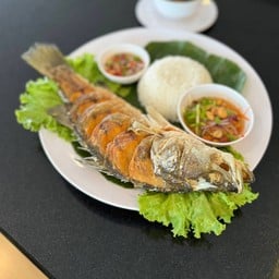 ข้าวปลากระพง